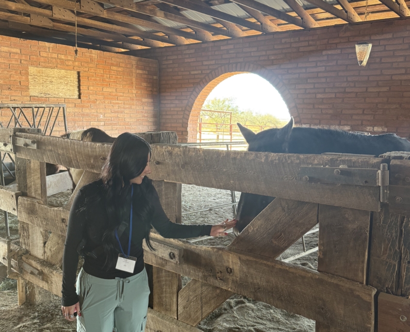 Why Experiential Therapies Work