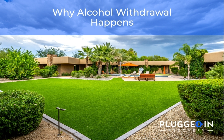 Alcohol Withdrawal Symptoms: What to Expect
