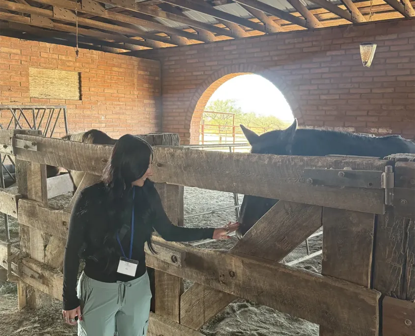 Equine therapy at Plugged In Recovery's luxury residential rehab