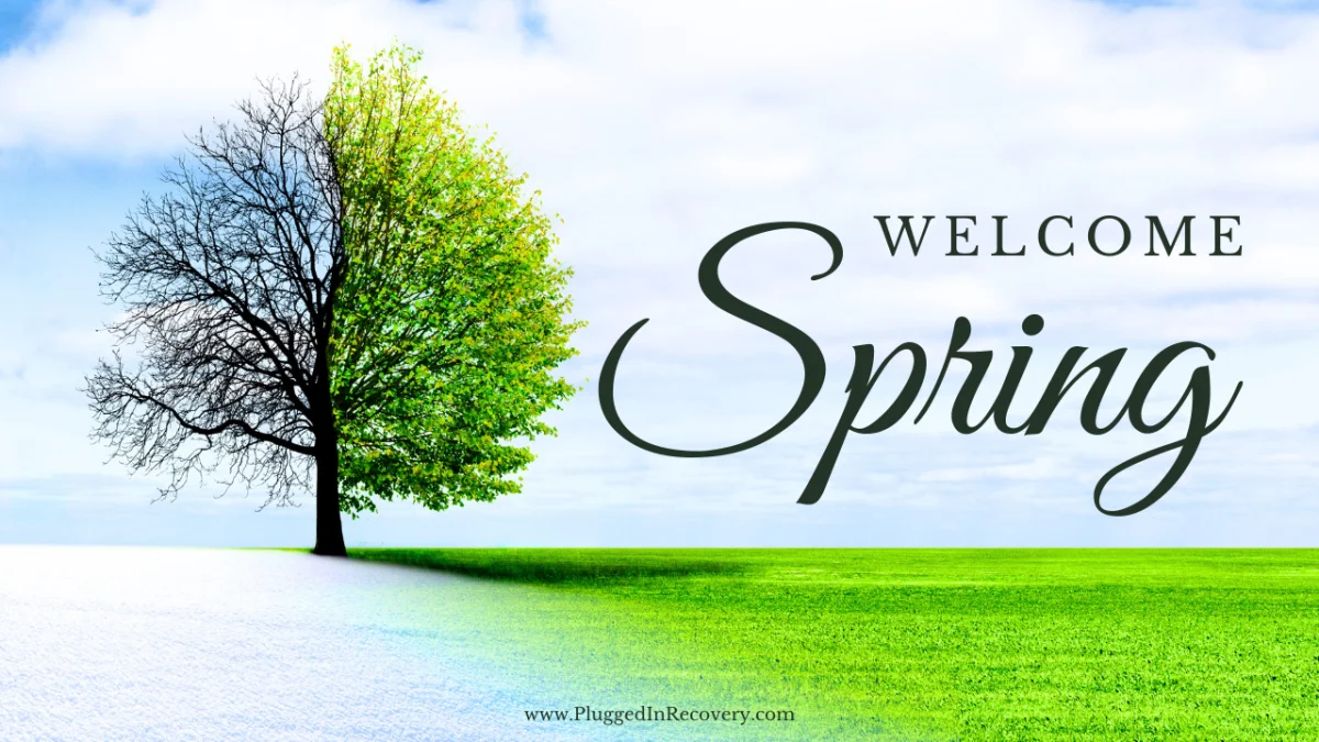 Recovery Mindset Spring Refresh