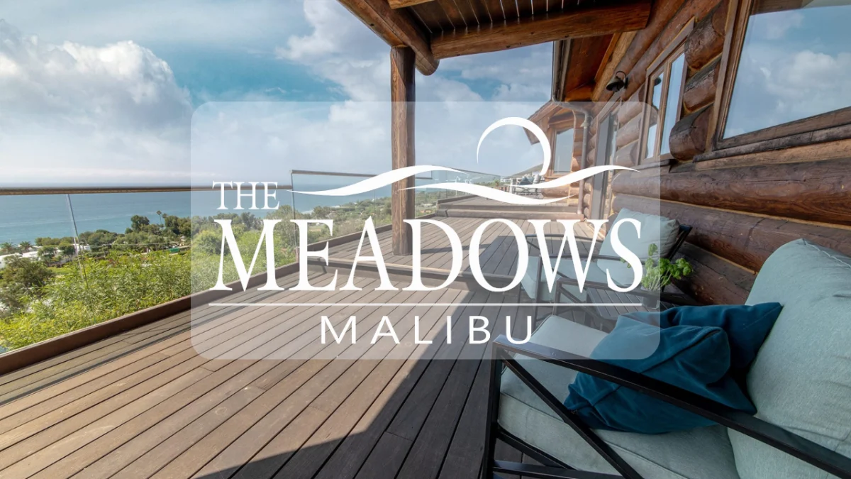 The Meadows - California Sober