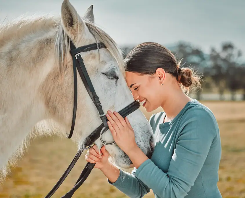 Equine and art therapy at Plugged In Recovery