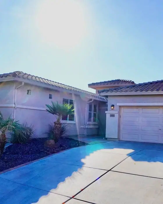 Tree House — Chandler, AZ Female Homes
