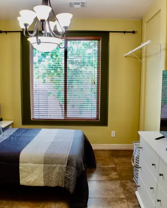 Tree House — Chandler, AZ Female Homes